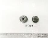 Click for 1 image(s) for this accession. FRUIT